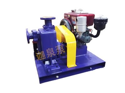 小型單缸柴油機泵組